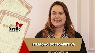 Explica Direito Filiação Socioafetiva  2019 [upl. by Hyacintha]